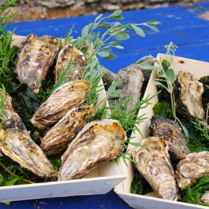 Huîtres fines de claire – Paniers de 50